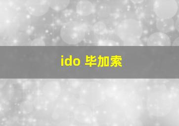 ido 毕加索